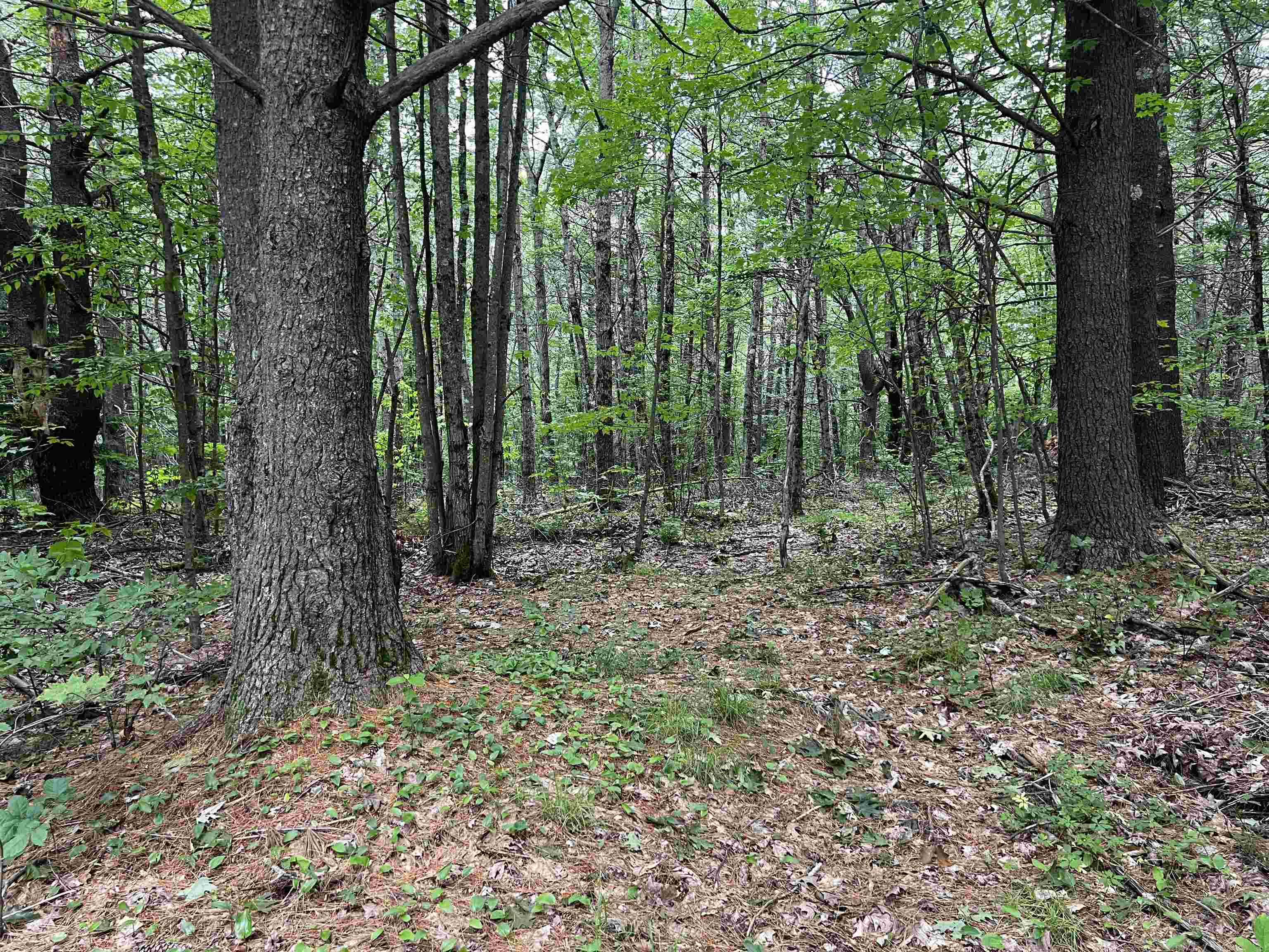0 Carpenter Hill Road Walpole, NH 03608 - Photo 1 of 11
