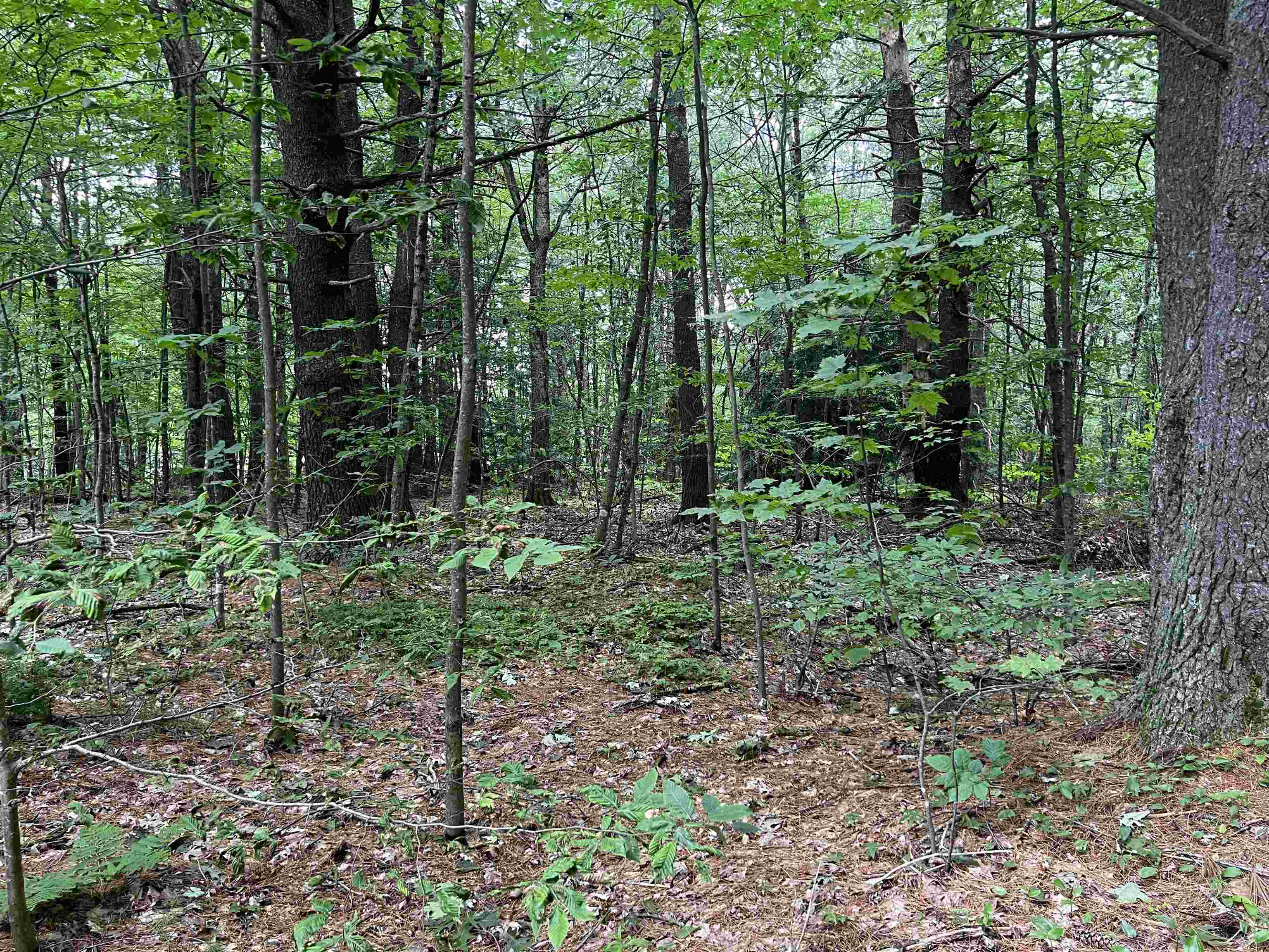 0 Carpenter Hill Road Walpole, NH 03608 - Photo 2 of 11
