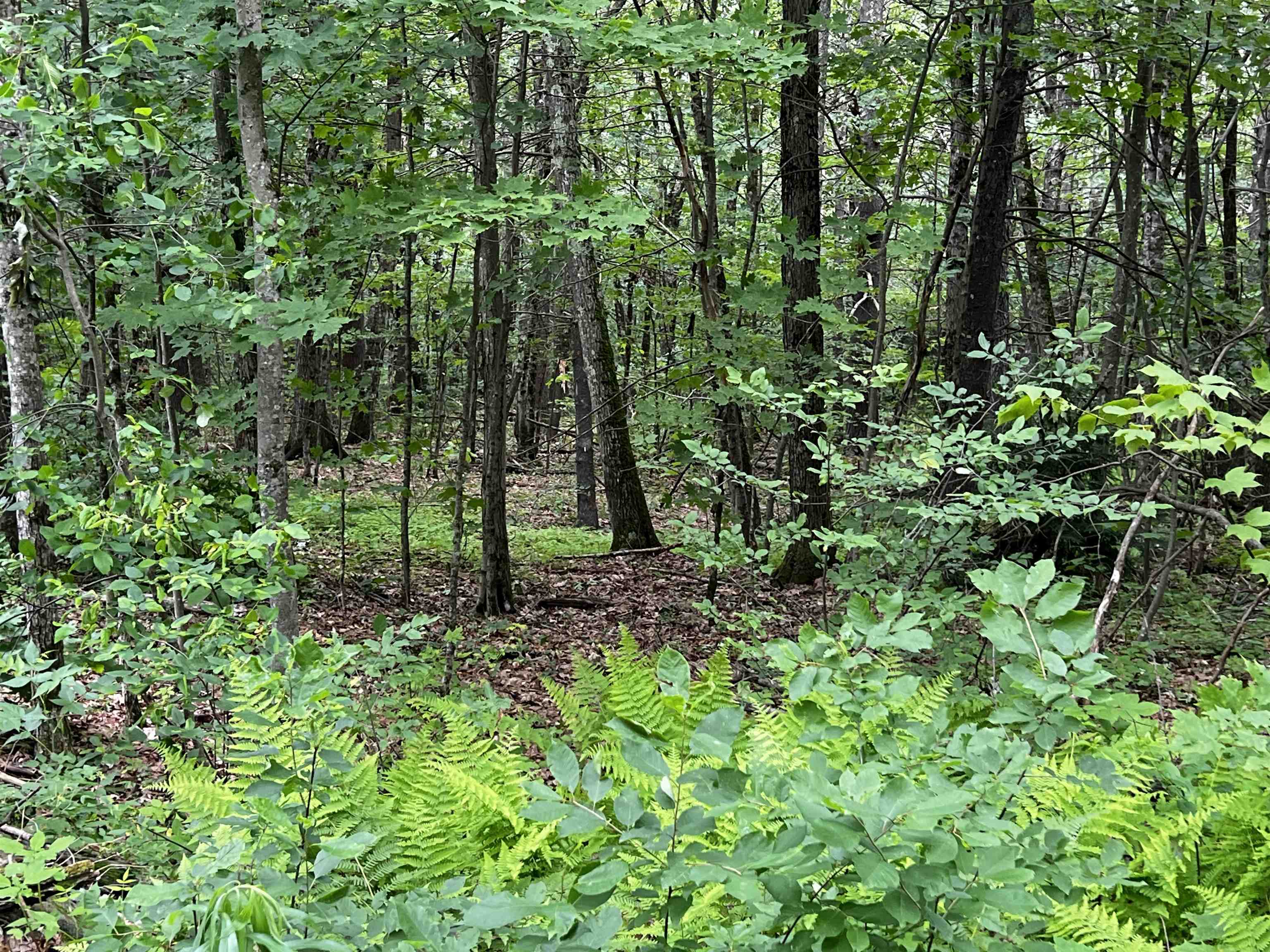 0 Carpenter Hill Road Walpole, NH 03608 - Photo 3 of 11