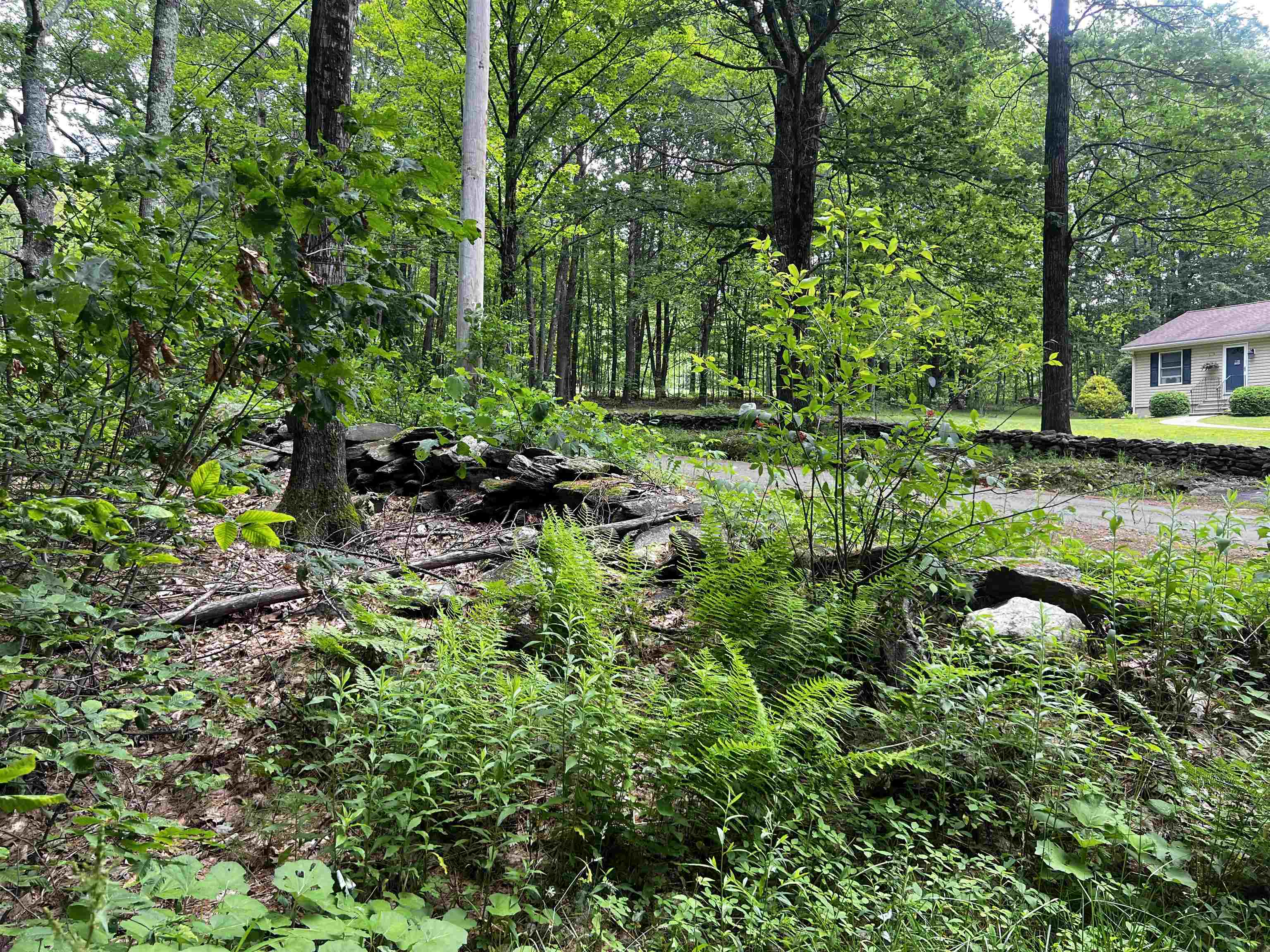 0 Carpenter Hill Road Walpole, NH 03608 - Photo 7 of 11