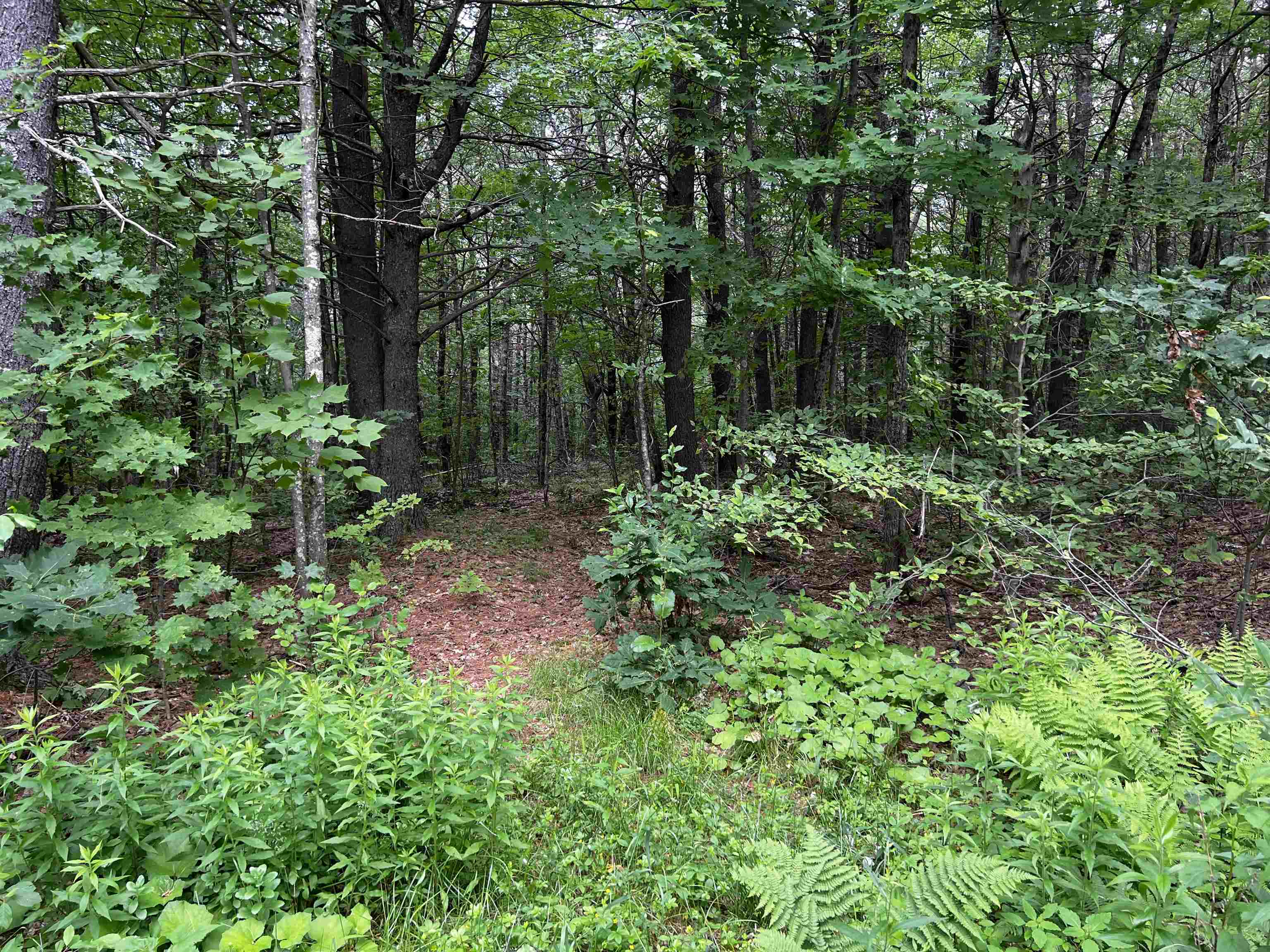 0 Carpenter Hill Road Walpole, NH 03608 - Photo 8 of 11