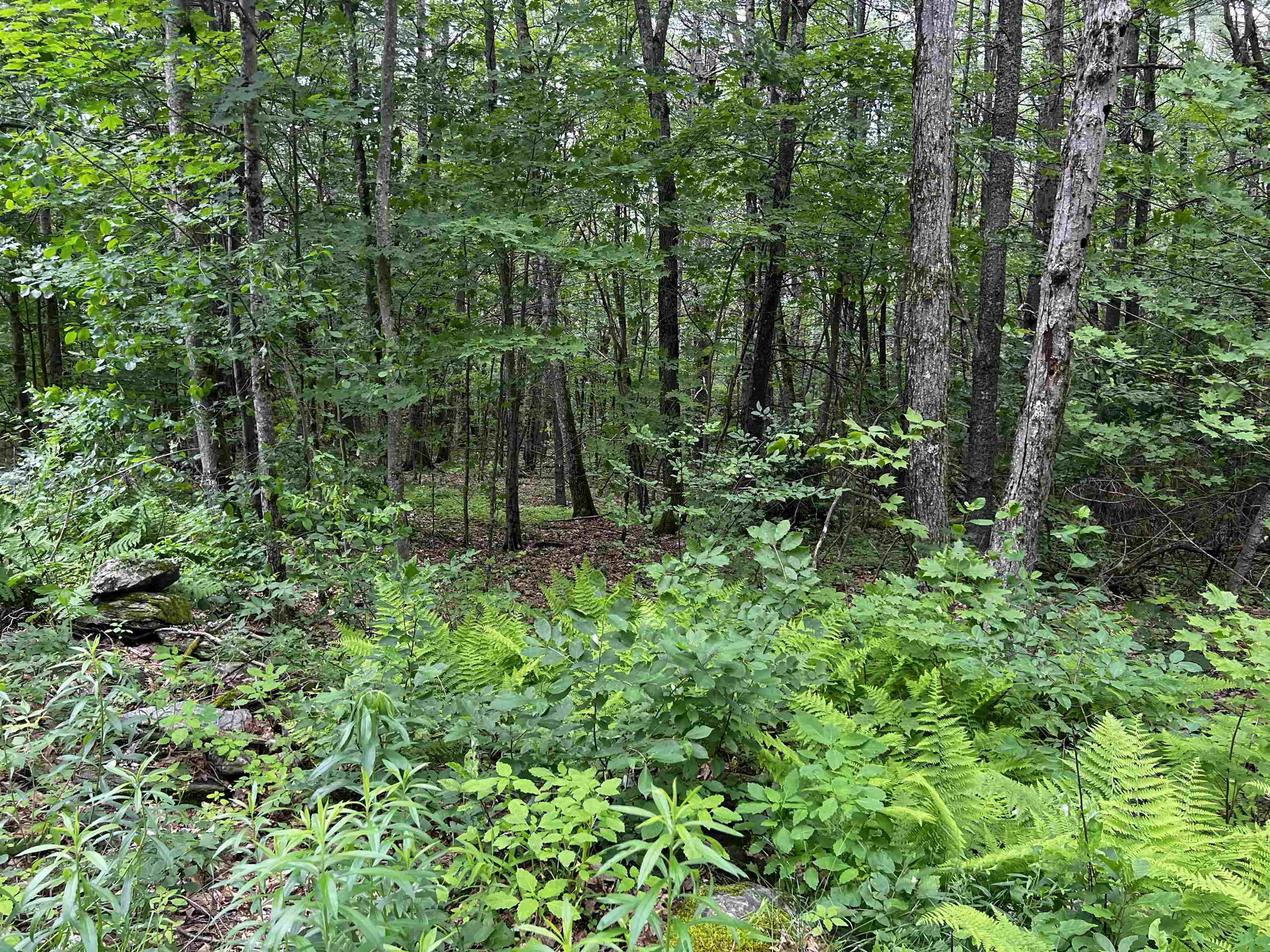 0 Carpenter Hill Road Walpole, NH 03608 - Photo 9 of 11