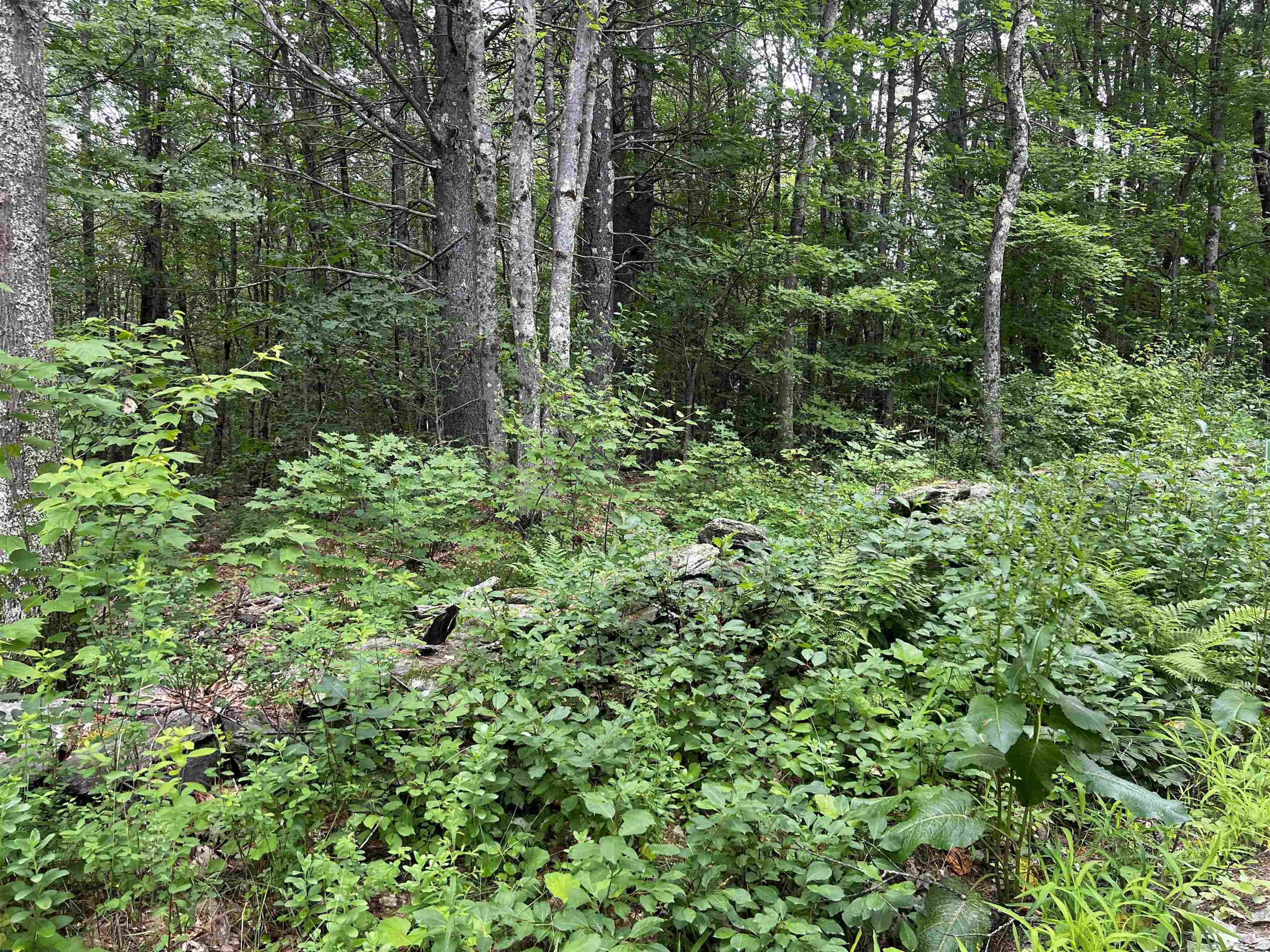 0 Carpenter Hill Road Walpole, NH 03608 - Photo 10 of 11