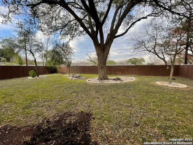 a view of outdoor space with trees