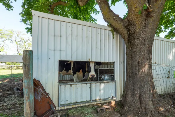 $379,900 | 4910 Balls Ferry Road, Anderson, CA 96007