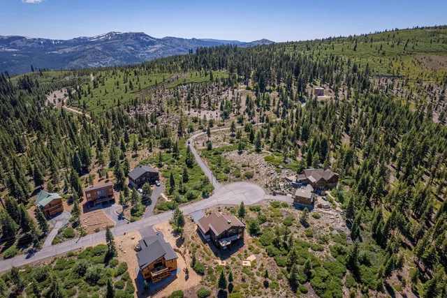 a view of a forest with a mountain