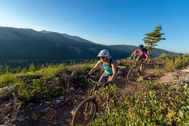 a tennis court with view of trees in the background