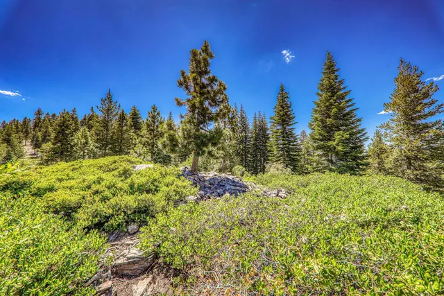 a view of a houses with a yard