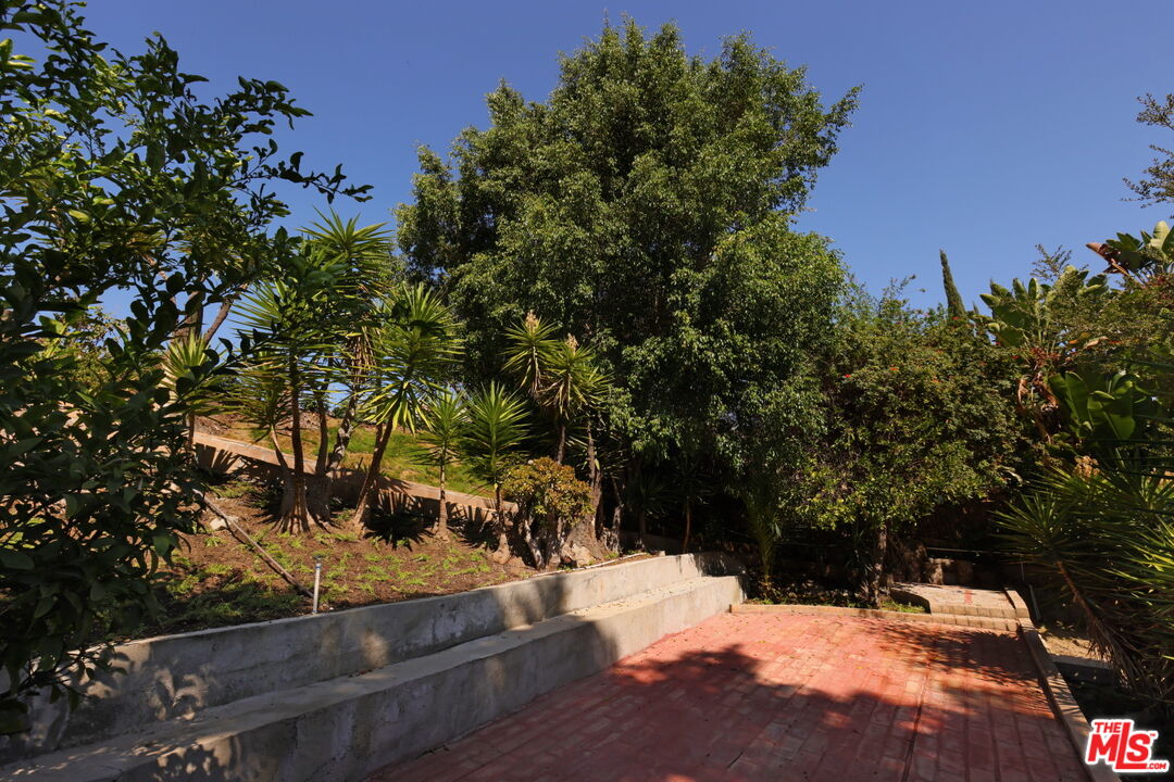 600 Luton Drive Glendale, CA 91206 - Photo 19 of 42 a view of a yard