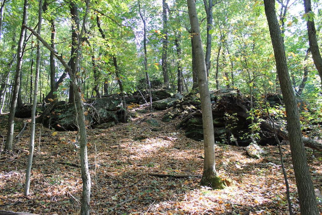 0 Beck Road Southeast Lancaster, OH 43130 - Photo 1 of 32