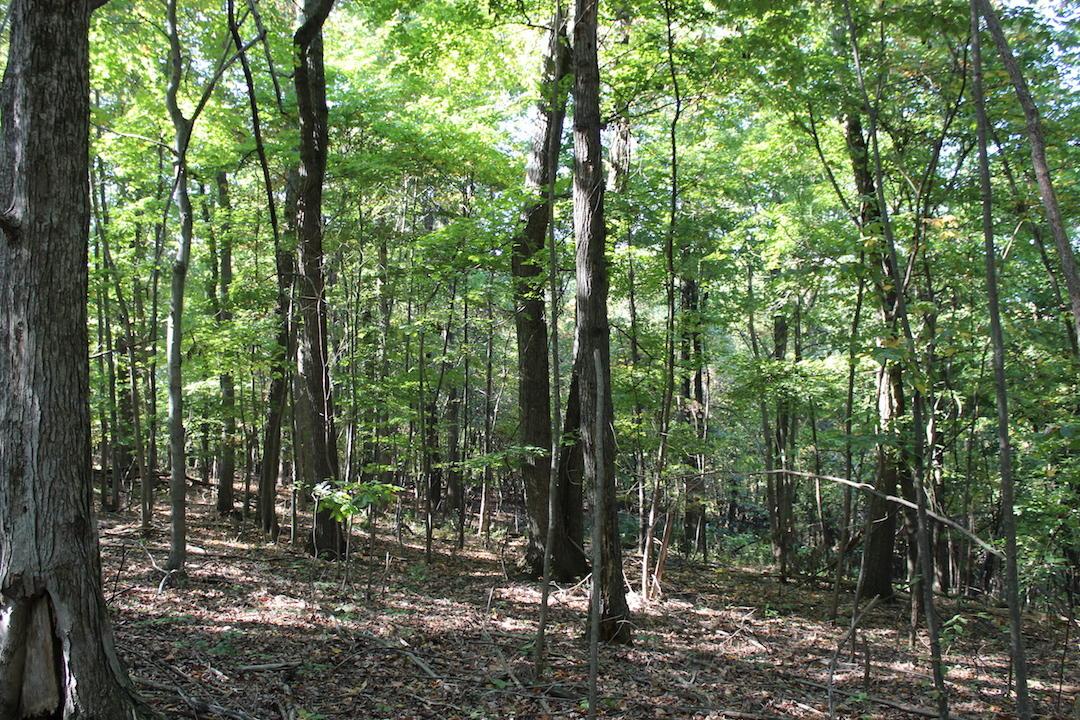 0 Beck Road Southeast Lancaster, OH 43130 - Photo 11 of 32
