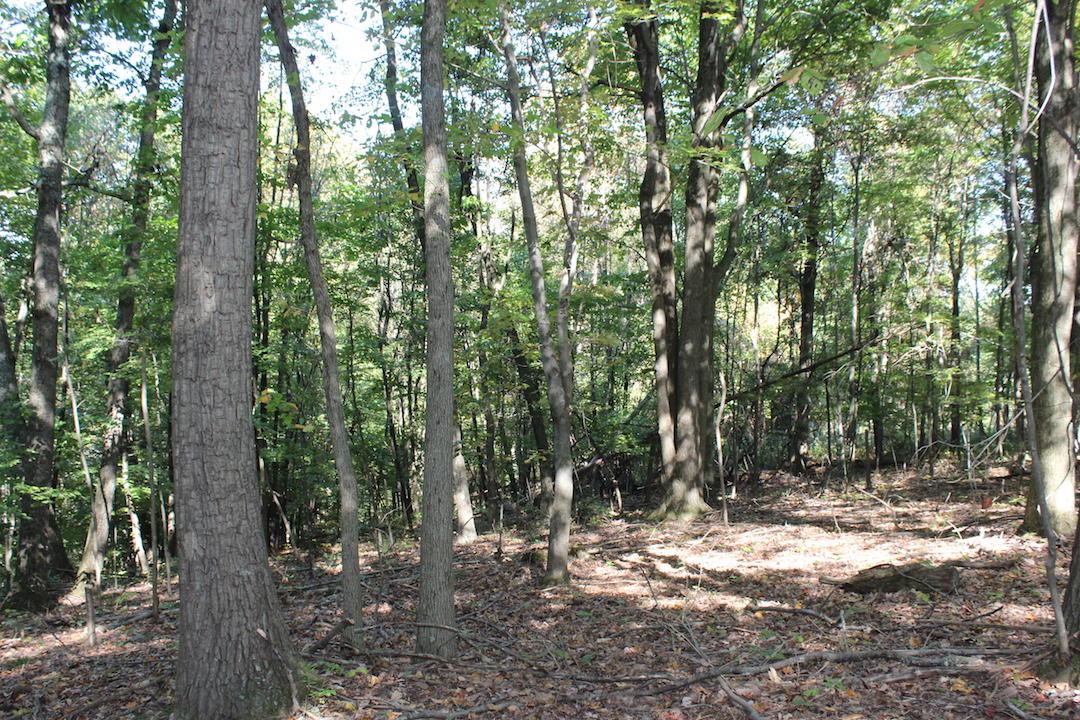 0 Beck Road Southeast Lancaster, OH 43130 - Photo 12 of 32