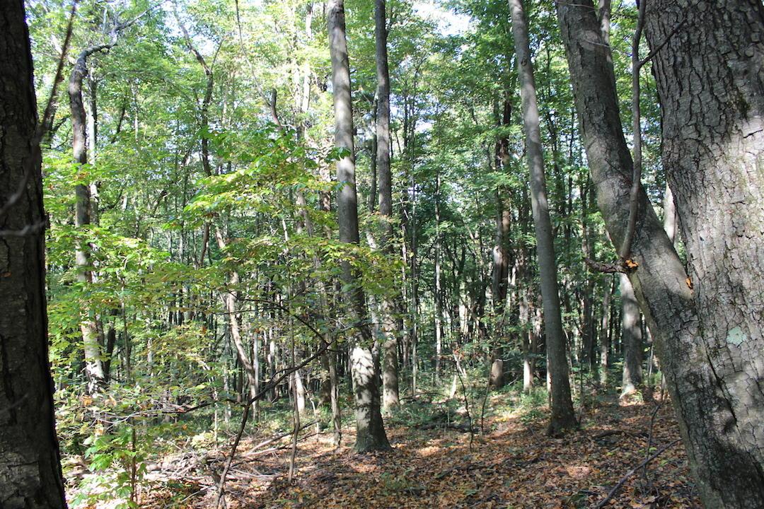 0 Beck Road Southeast Lancaster, OH 43130 - Photo 16 of 32