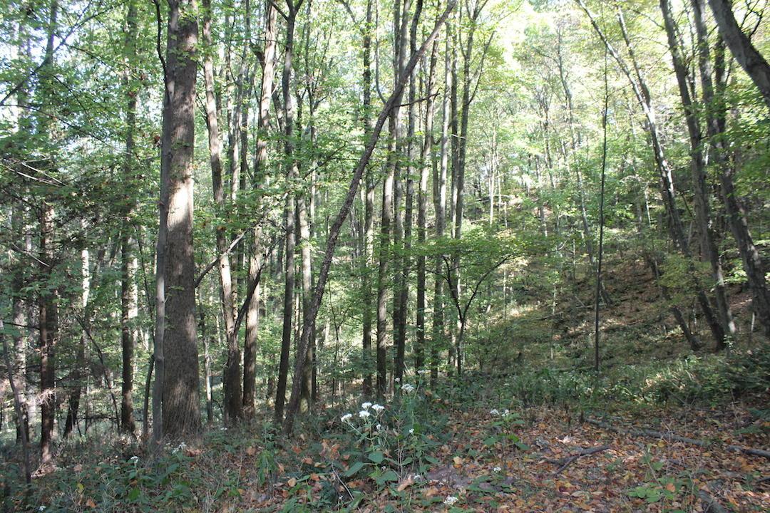 0 Beck Road Southeast Lancaster, OH 43130 - Photo 17 of 32