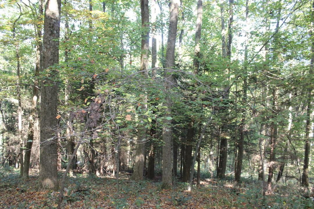 0 Beck Road Southeast Lancaster, OH 43130 - Photo 18 of 32