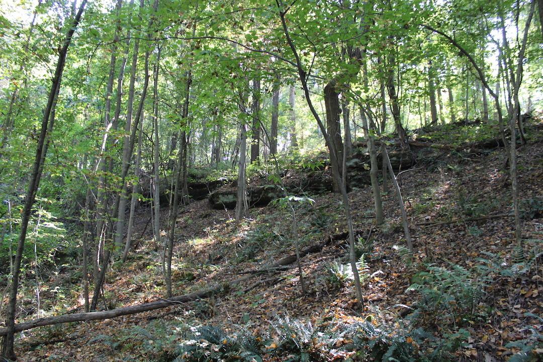 0 Beck Road Southeast Lancaster, OH 43130 - Photo 20 of 32