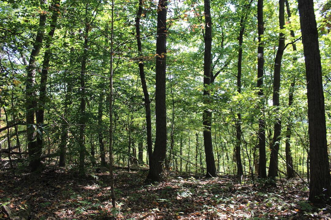 0 Beck Road Southeast Lancaster, OH 43130 - Photo 2 of 32