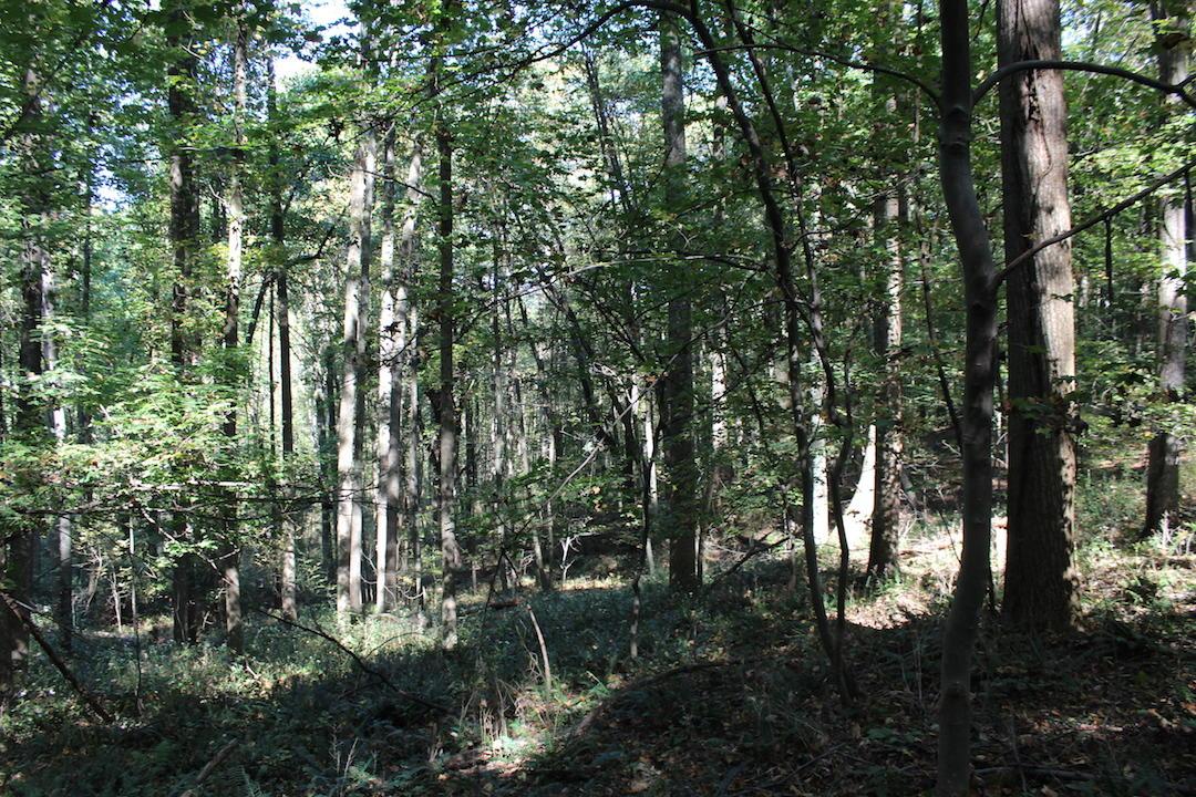 0 Beck Road Southeast Lancaster, OH 43130 - Photo 21 of 32