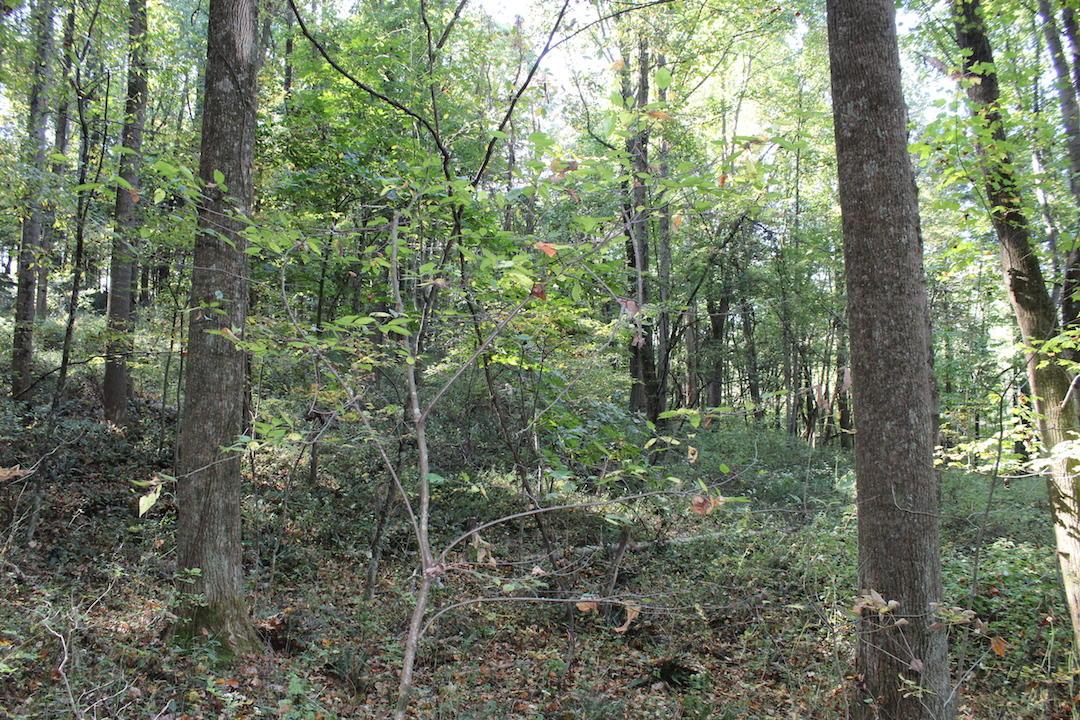 0 Beck Road Southeast Lancaster, OH 43130 - Photo 22 of 32