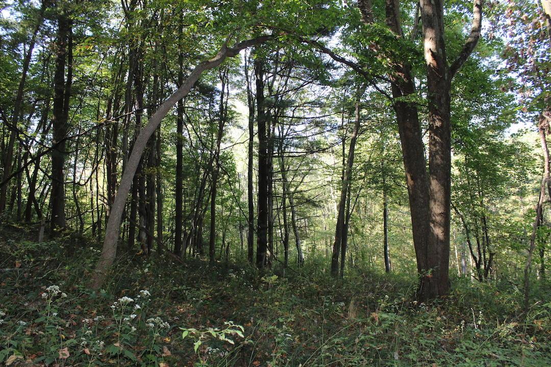 0 Beck Road Southeast Lancaster, OH 43130 - Photo 23 of 32