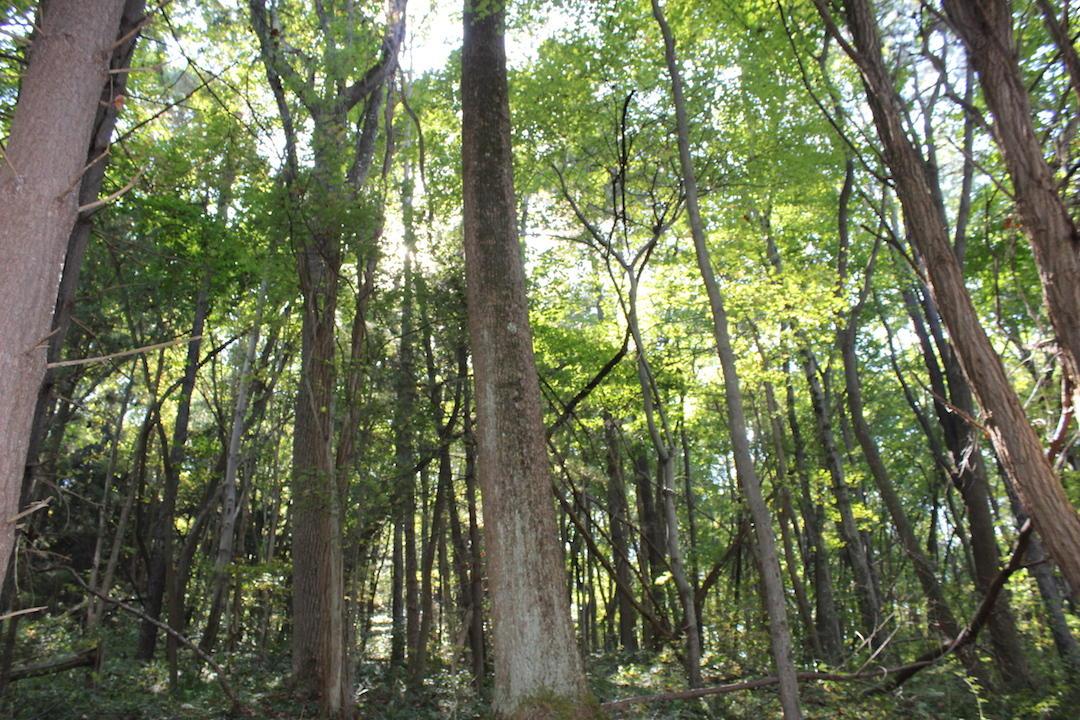 0 Beck Road Southeast Lancaster, OH 43130 - Photo 24 of 32