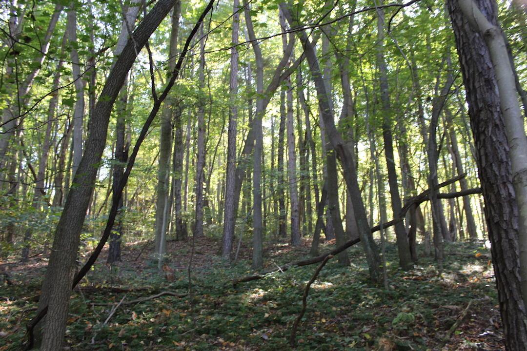 0 Beck Road Southeast Lancaster, OH 43130 - Photo 25 of 32