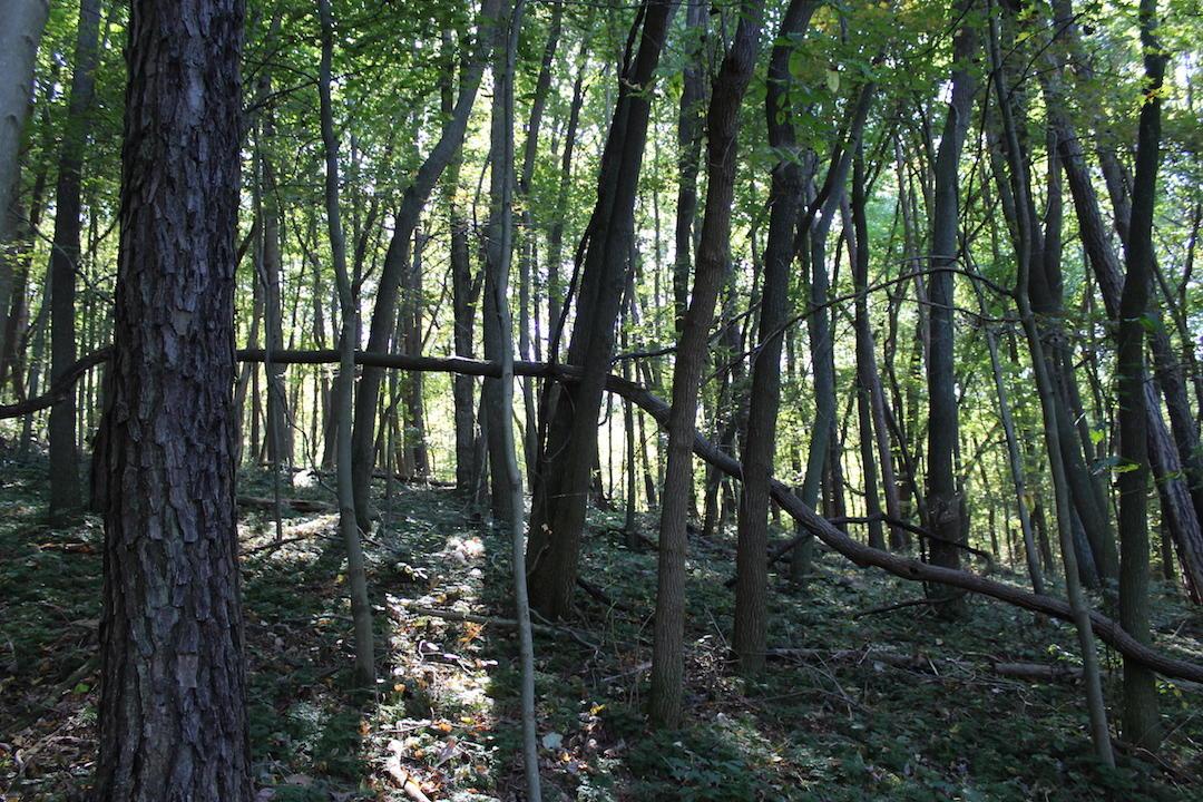 0 Beck Road Southeast Lancaster, OH 43130 - Photo 26 of 32