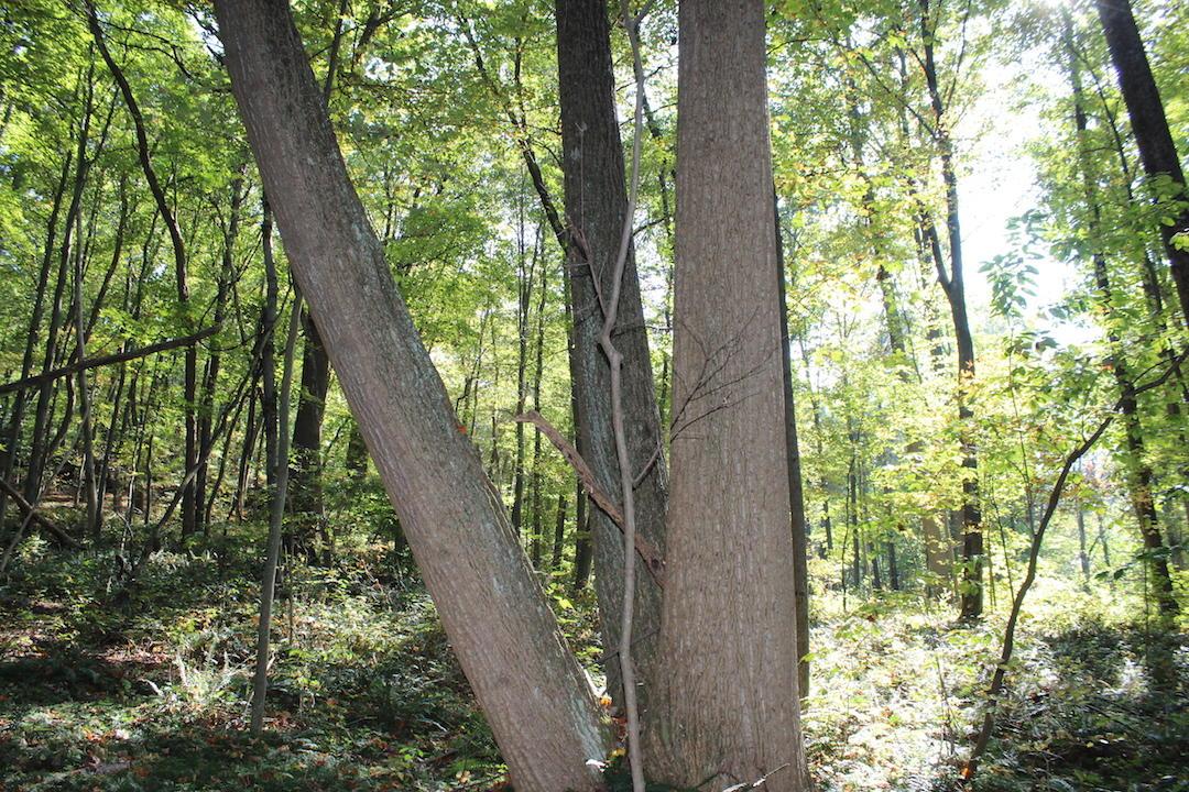 0 Beck Road Southeast Lancaster, OH 43130 - Photo 27 of 32