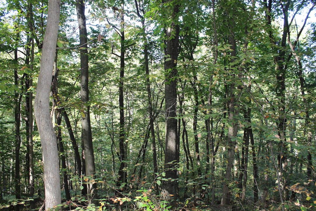 0 Beck Road Southeast Lancaster, OH 43130 - Photo 28 of 32