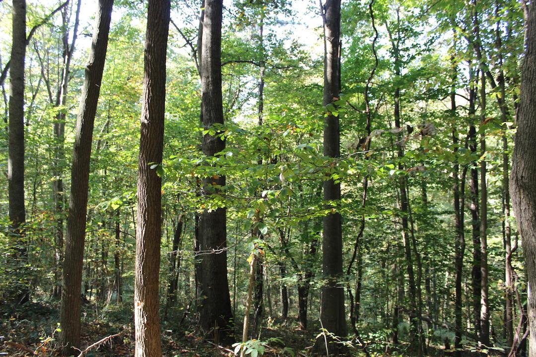 0 Beck Road Southeast Lancaster, OH 43130 - Photo 29 of 32