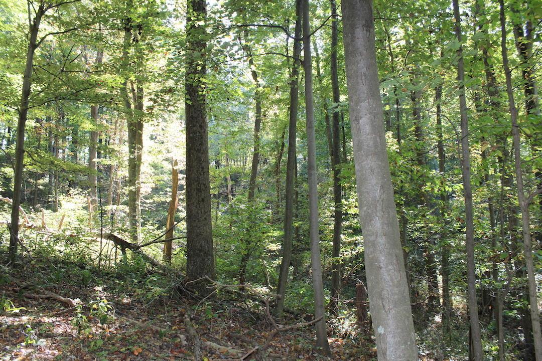 0 Beck Road Southeast Lancaster, OH 43130 - Photo 31 of 32
