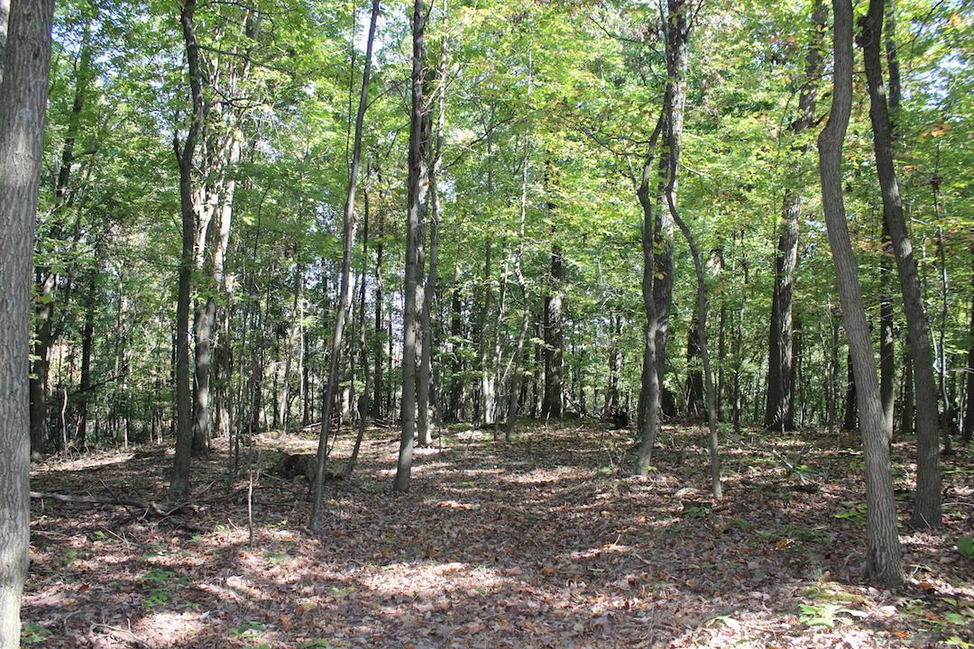 0 Beck Road Southeast Lancaster, OH 43130 - Photo 4 of 32