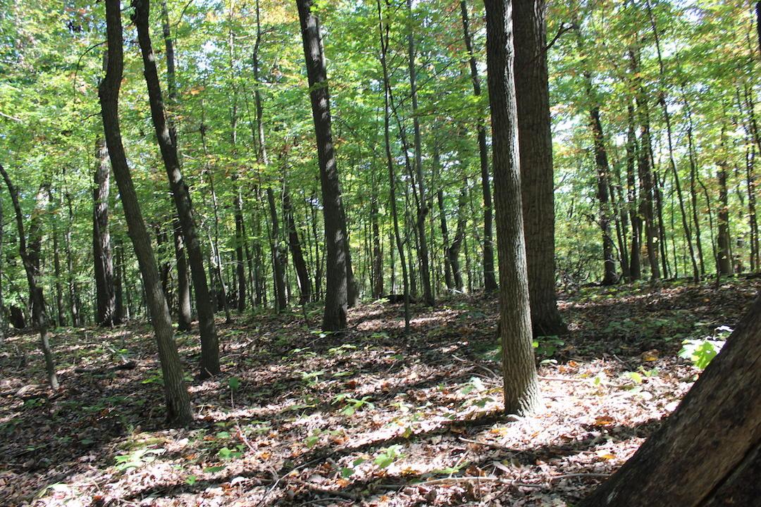 0 Beck Road Southeast Lancaster, OH 43130 - Photo 5 of 32
