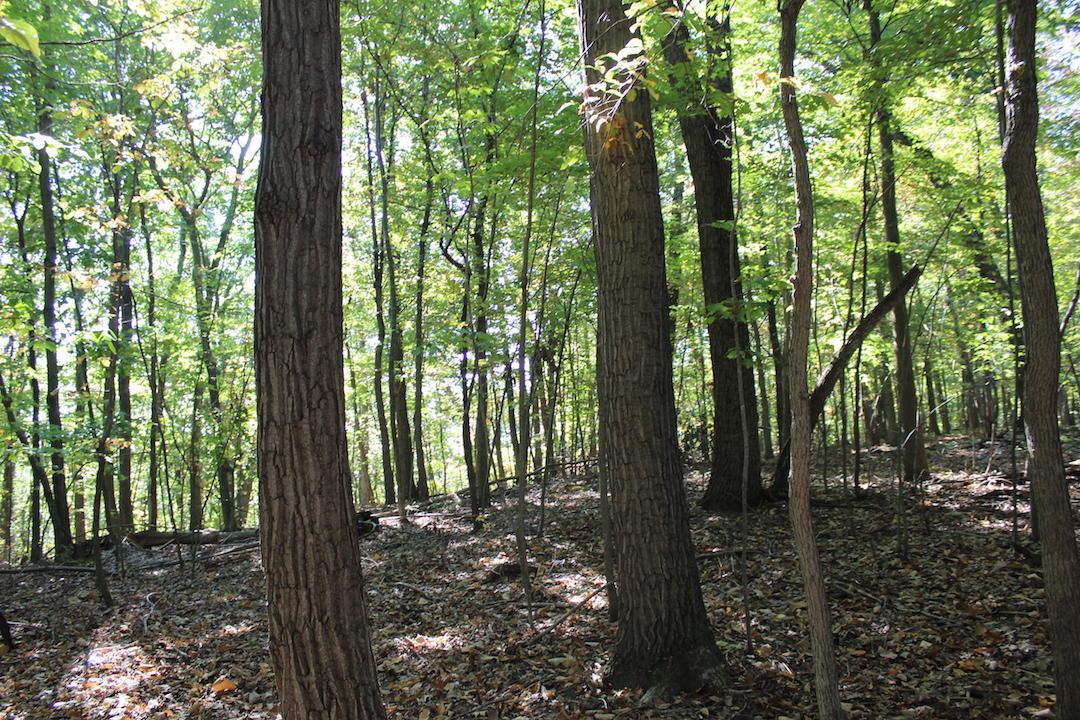 0 Beck Road Southeast Lancaster, OH 43130 - Photo 9 of 32