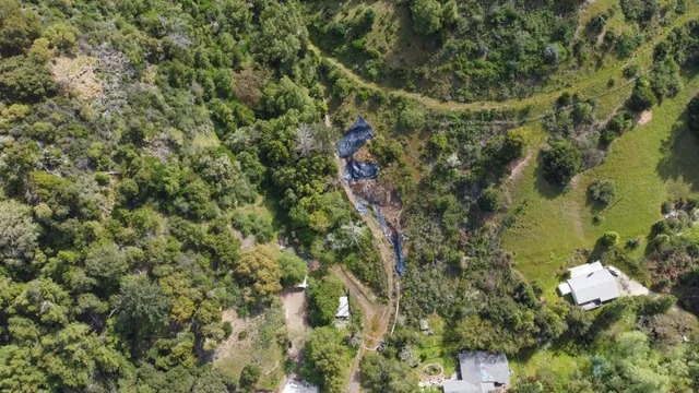 a view of a forest with a houses