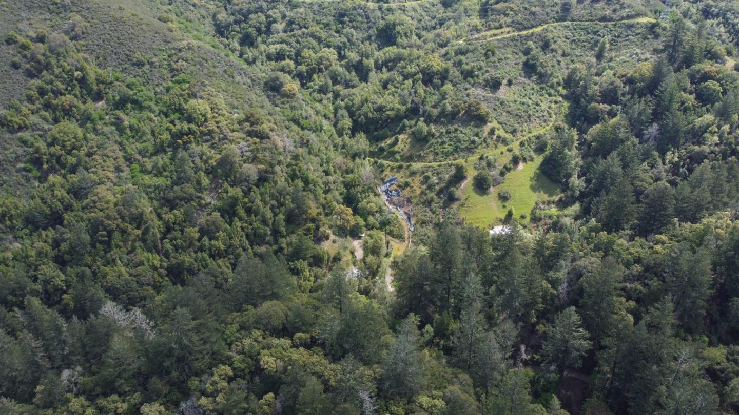 16503 Sanborn Road Saratoga, CA 95070 - Photo 6 of 15 a view of a forest with a houses