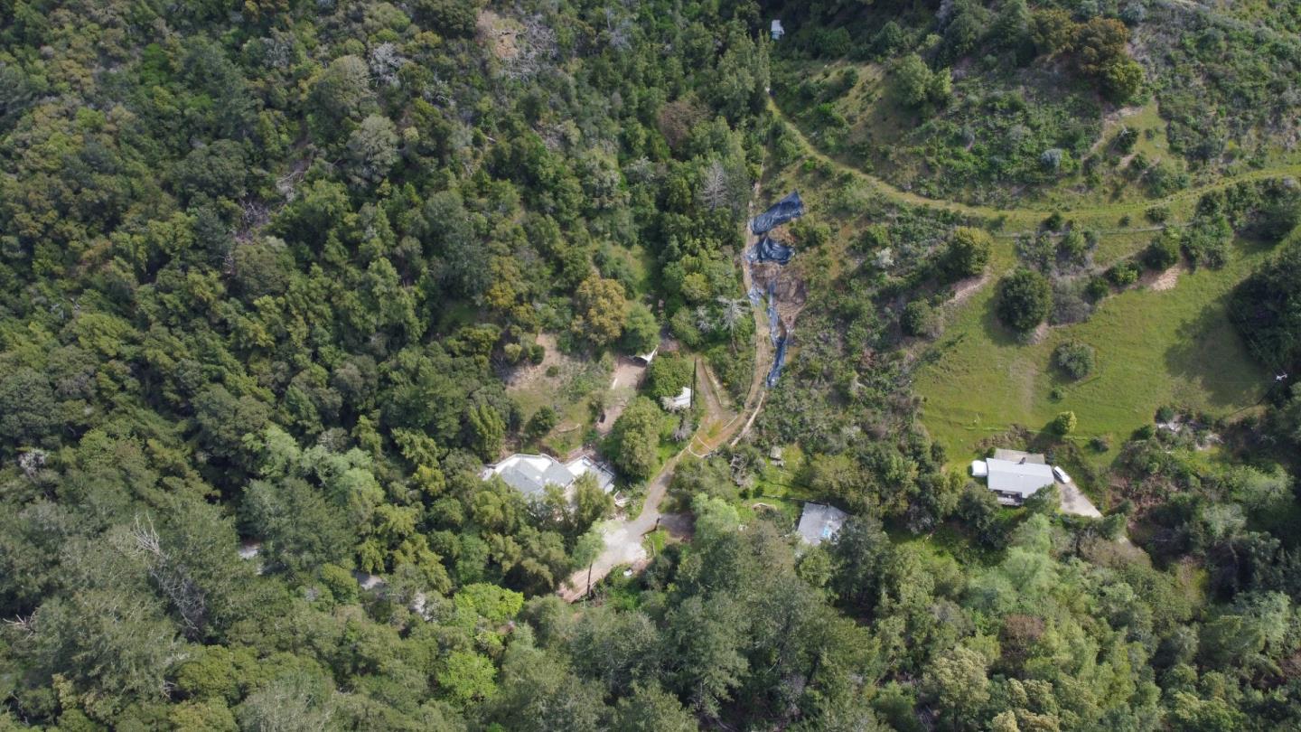 16503 Sanborn Road Saratoga, CA 95070 - Photo 8 of 15 a view of a forest with a tree