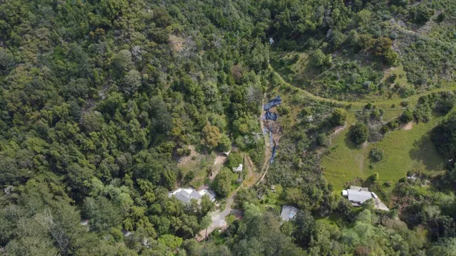a view of a house with a lush green forest