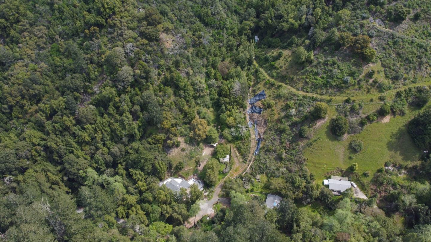 16503 Sanborn Road Saratoga, CA 95070 - Photo 9 of 15 a view of a forest with a tree