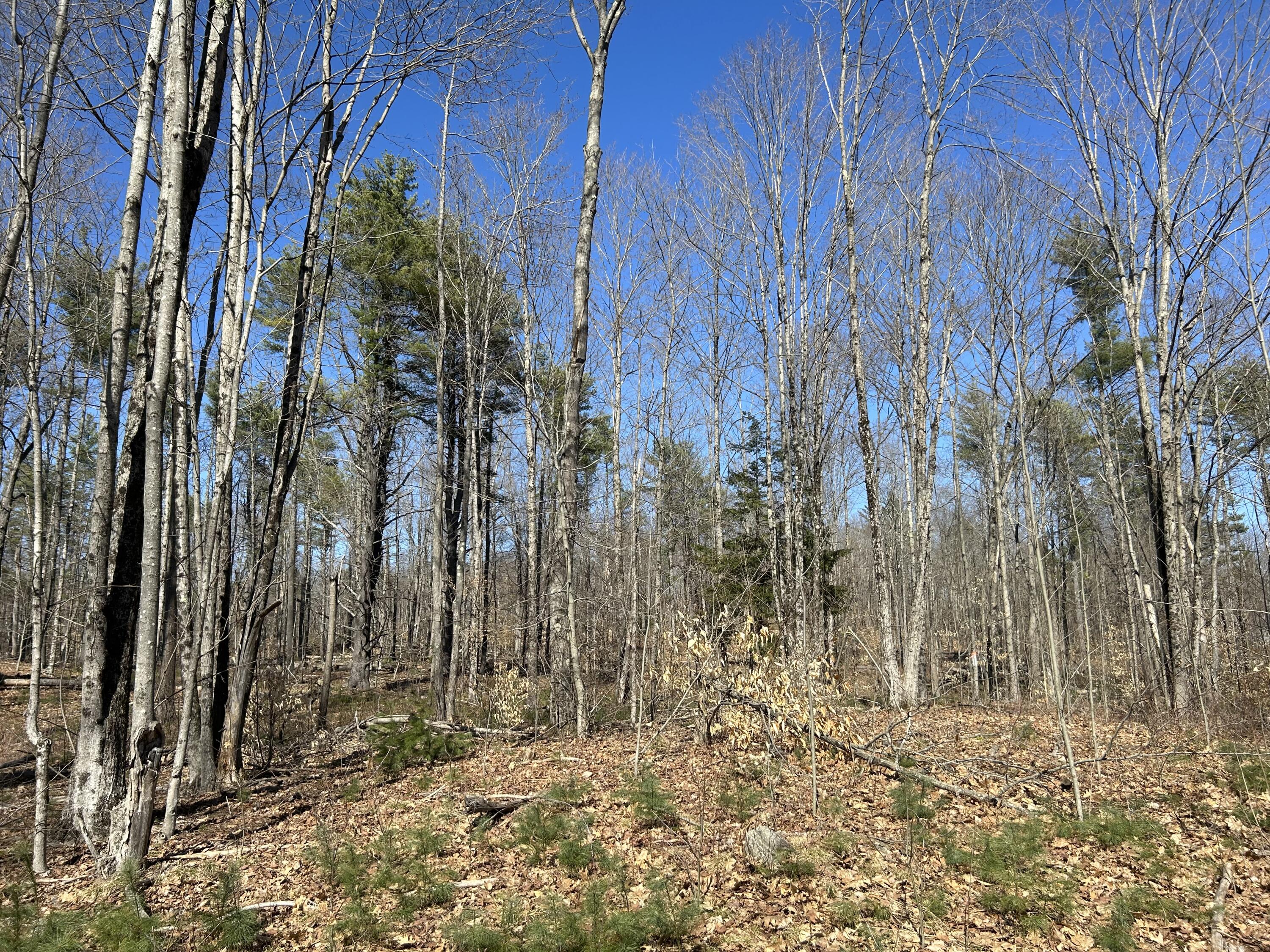 Lot 11 Blair Road Augusta, ME 04330 - Photo 6 of 6 F96EC341-28E9-48F9-9B2C-7B994FB293DD