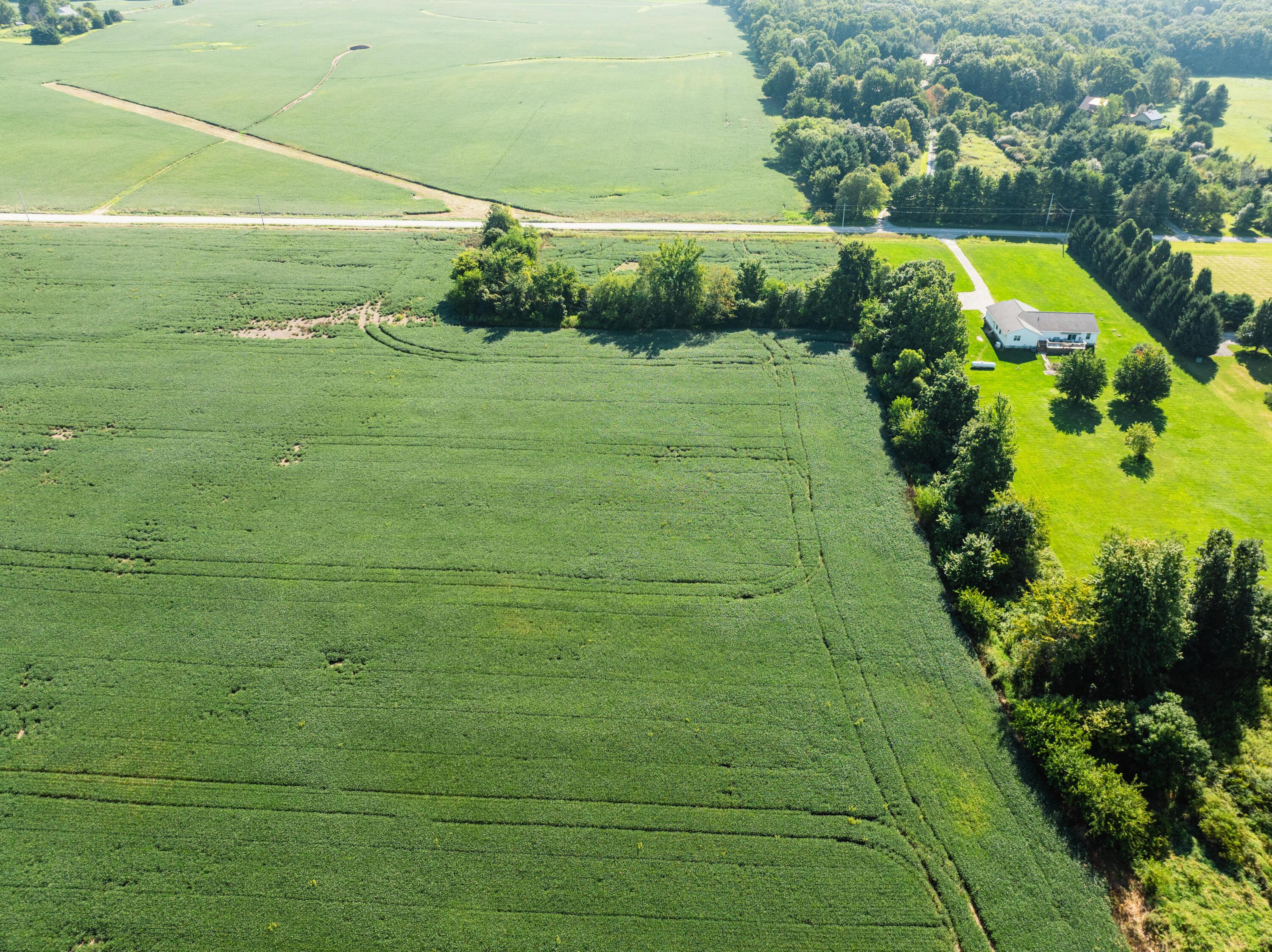 0 Sycamore Road Centerburg, OH 43011 - Photo 31 of 69 DJI_20260827152810_0818_D