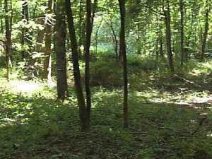 L-6-7 Slack Road Mount Perry, OH 43760 - Photo 2 of 3