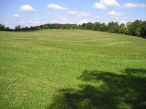 L-6-7 Slack Road Mount Perry, OH 43760 - Photo 3 of 3