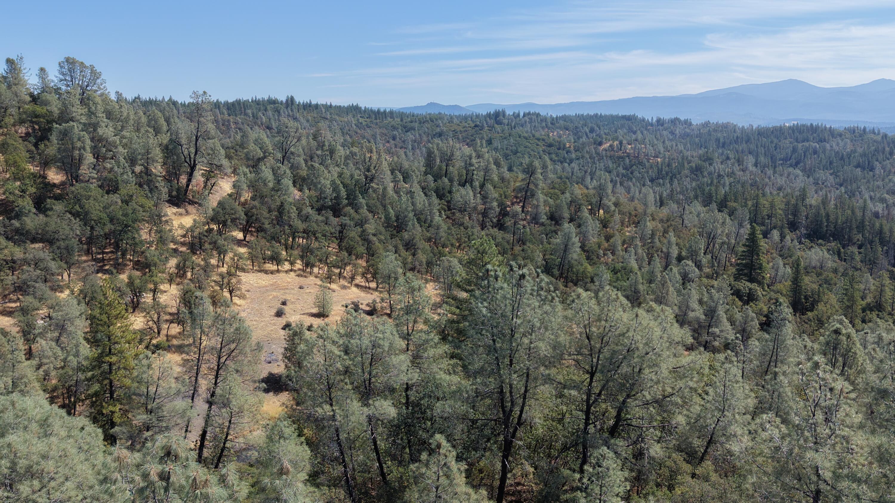 93.57 Backbone Road Bella Vista, CA 96008 - Photo 45 of 51 DJI_20260812111109_0013_D
