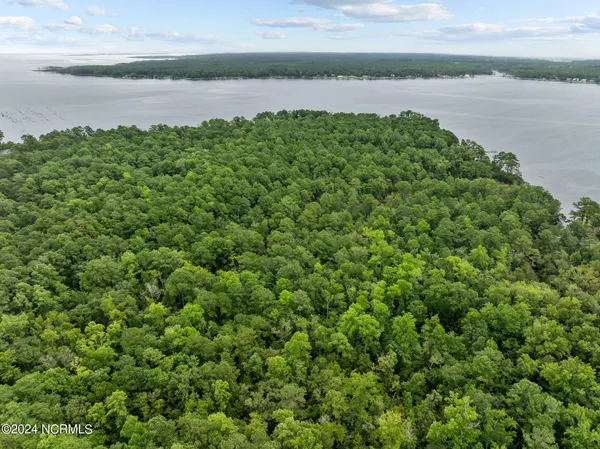 $1,400,000 | 0 Blue Heron Drive, Bayboro, NC 28515