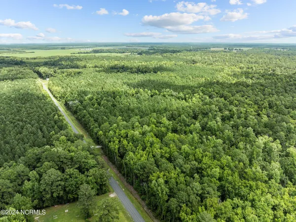 $1,400,000 | 0 Blue Heron Drive, Bayboro, NC 28515