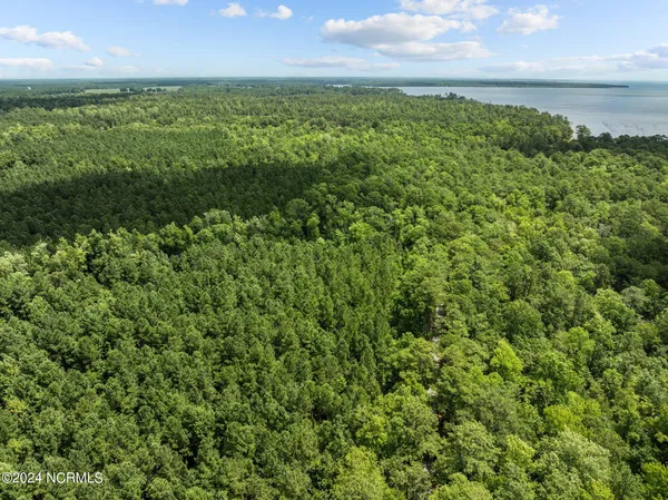 $1,400,000 | 0 Blue Heron Drive, Bayboro, NC 28515