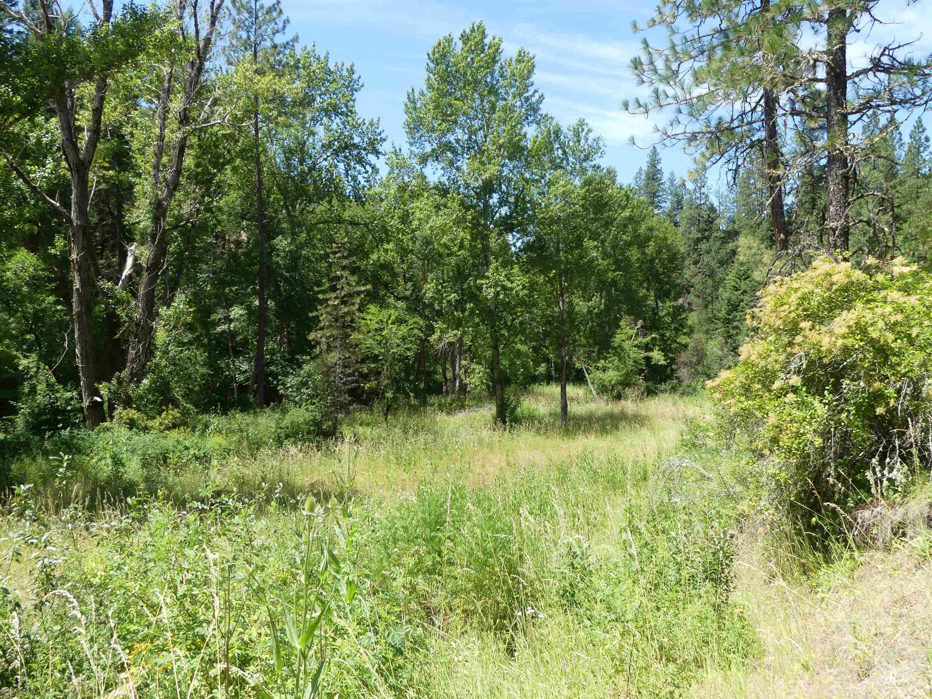 46601 Little Canyon Road Orofino, ID 83544 - Photo 31 of 46