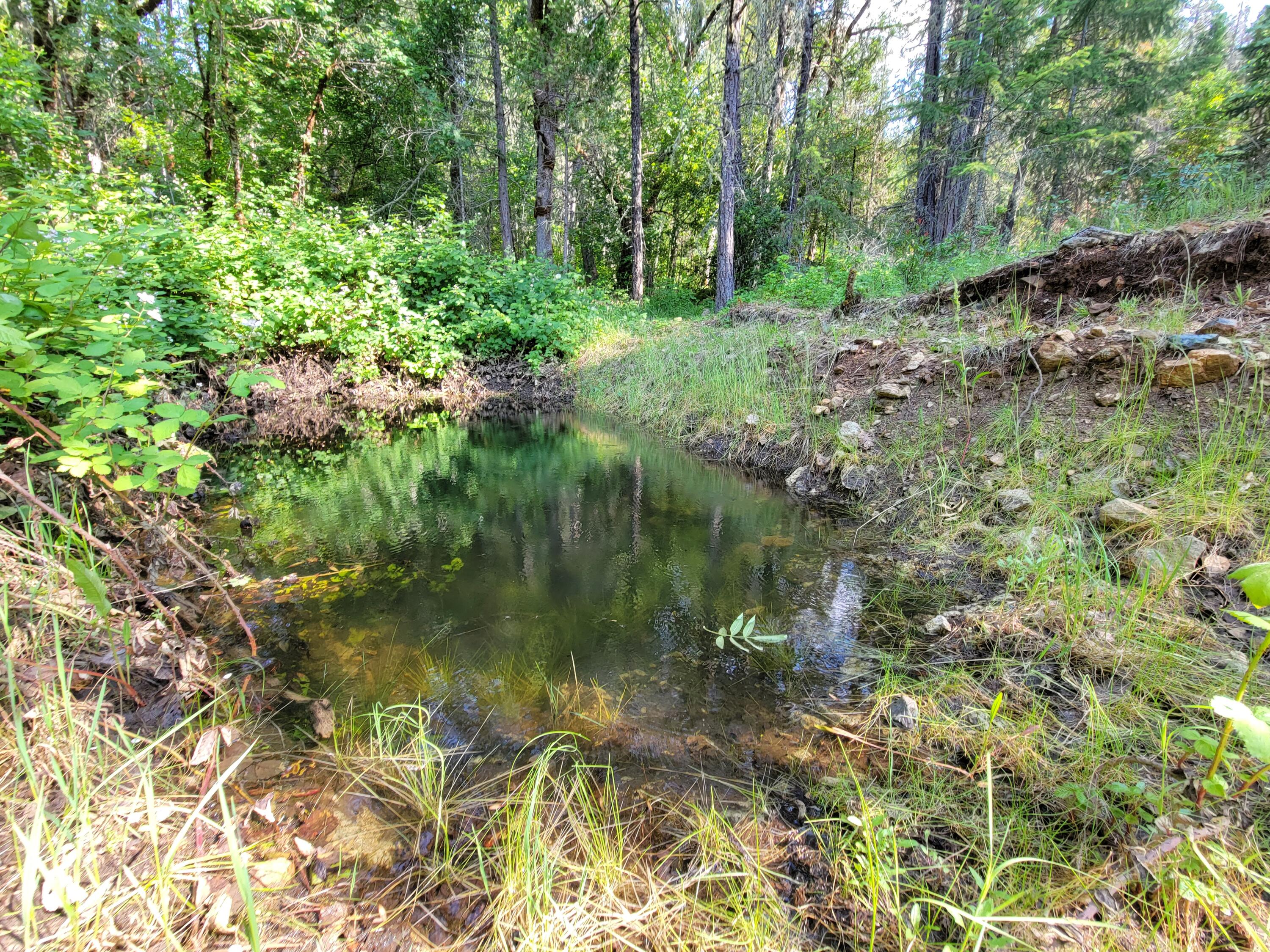 1021 Greenview Road Cave Junction, OR 97523 - Photo 22 of 27 15- pond