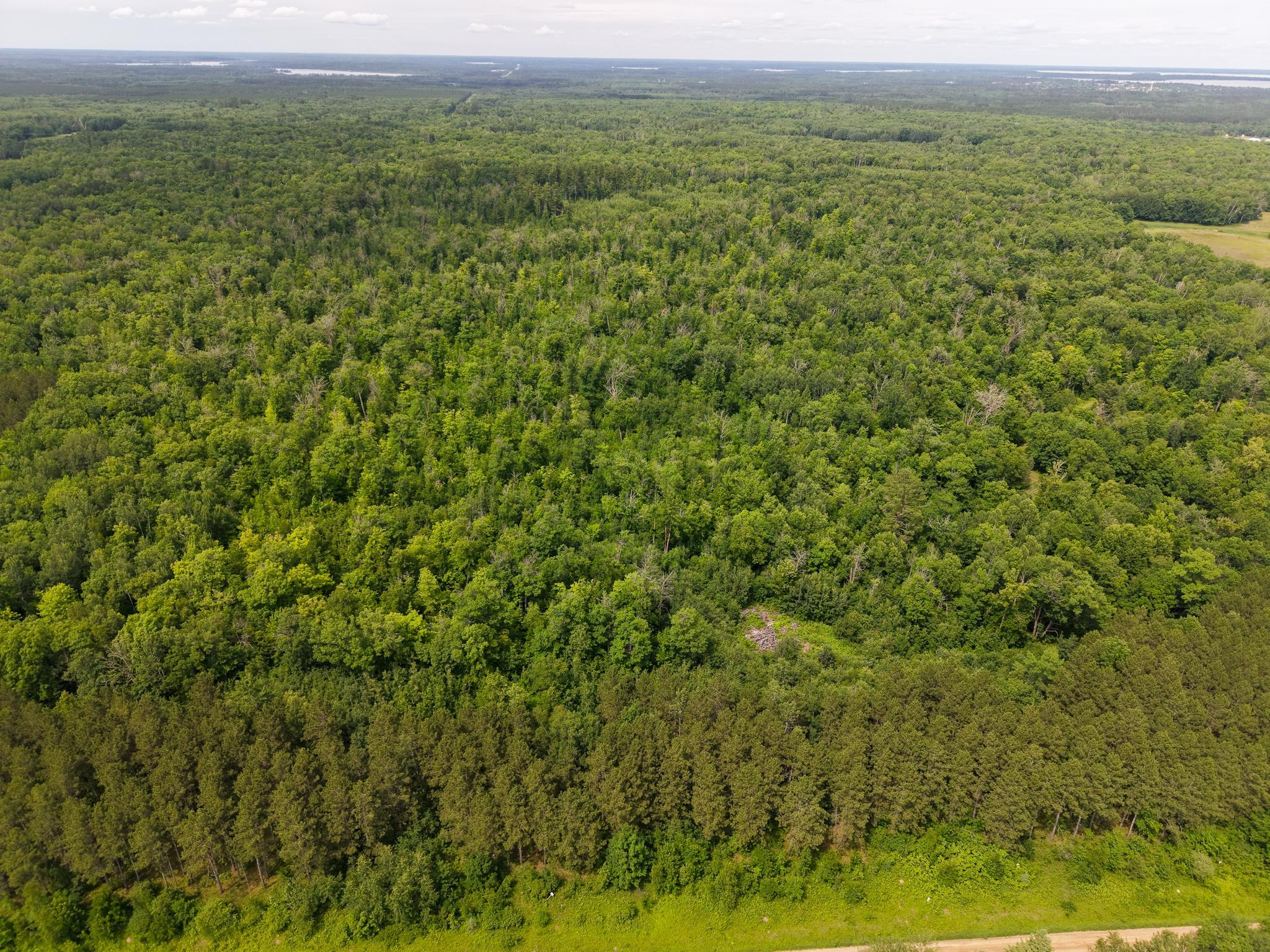 80-acres Pike Bay Loop Road Northwest Cass Lake, MN 56633 - Photo 6 of 27